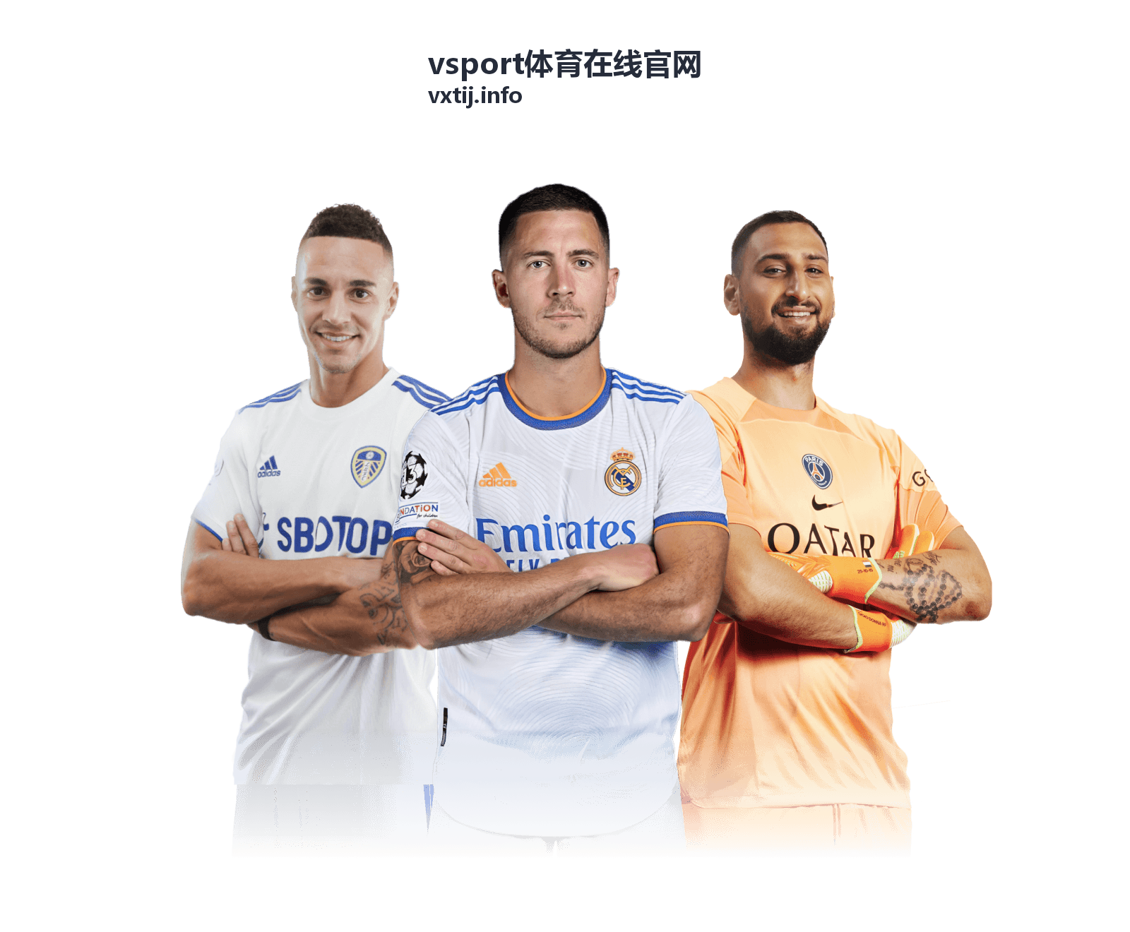 北境狼王与紫金王朝对决-vsport体育在线官网